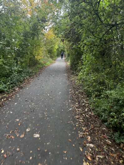 トトロ道 ドイツ