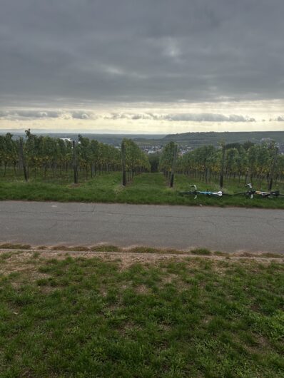 ニアシュタインのワイン畑